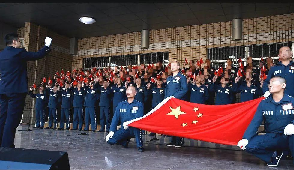 口袋侏罗纪